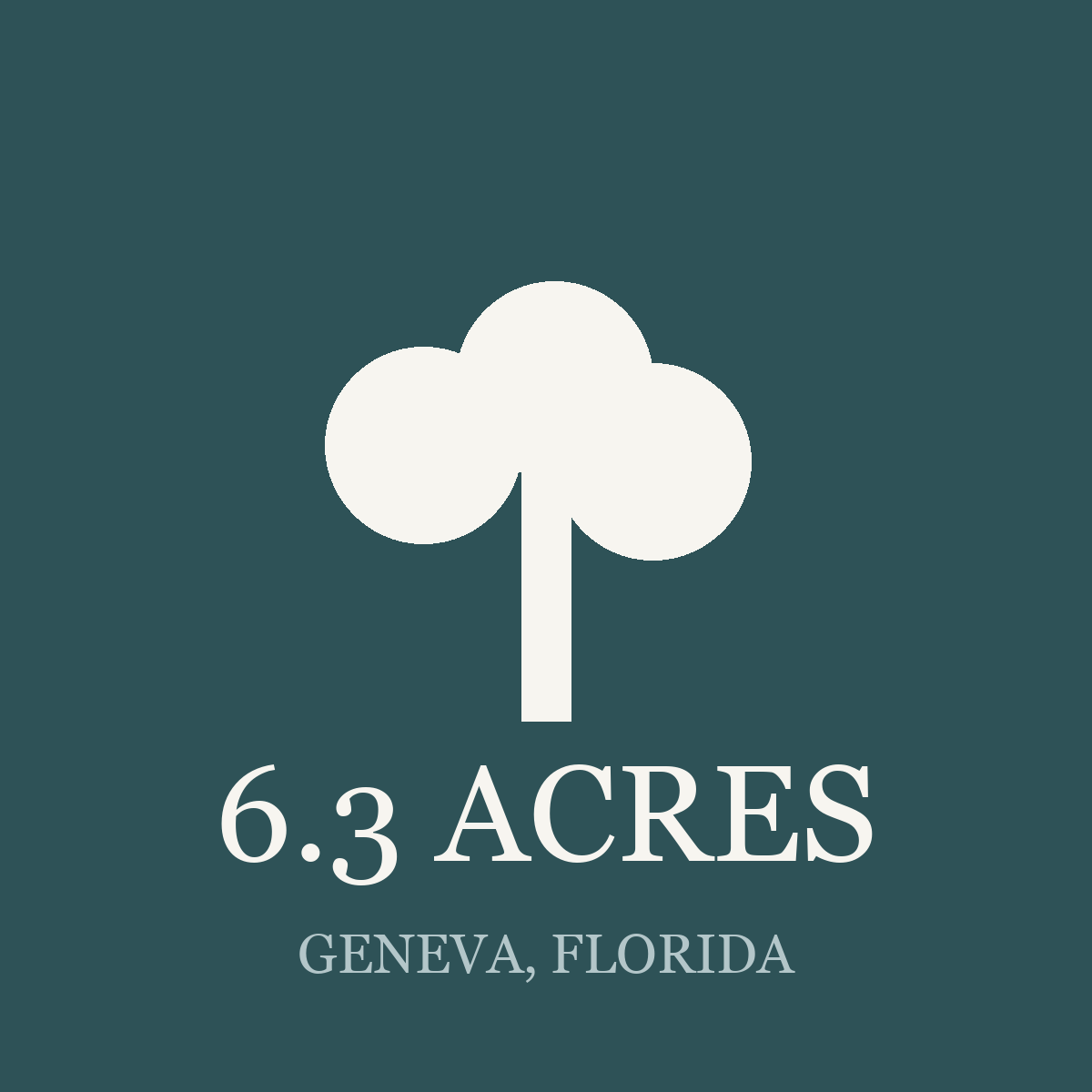 6.3 Acres, Geneva, Florida